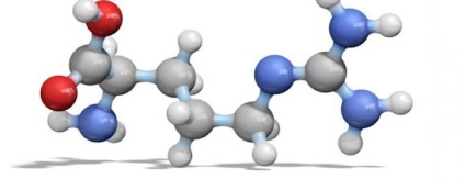 Arginine - mi ez, és mi az a kár és előnyeit arginin