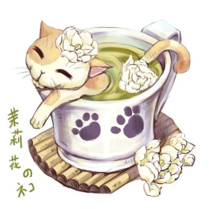 Tea tömítések a mágikus macskák utca gyönyörű illusztrációk a különböző tisztaságú drink -