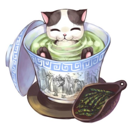 Pisicile de ceai de la strada pisicilor magice sunt ilustrații minunate pentru diferitele soiuri ale unei băuturi preferate -