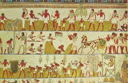 Care este impozitul în istoria antică a Egiptului?
