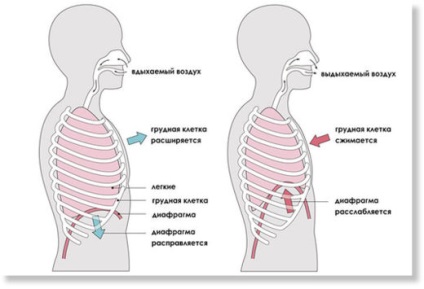 Mi a helyes légzés és hogy mit - Egészség és fitnessz
