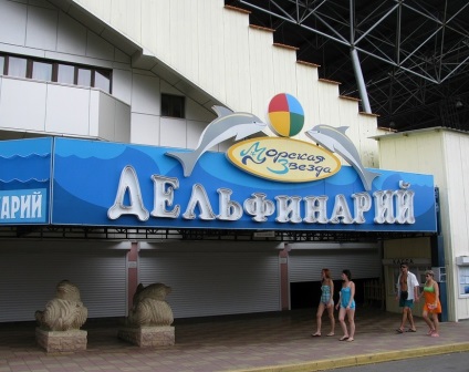 Dolphinarium 