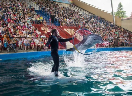 Dolphinarium 