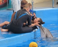 Efectele fiziologice ale terapiei cu delfini - copiii non-standard