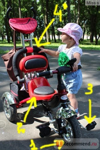 Gyermek kerékpár s-line lexus trike grand - «a kerékpár nem egy választás a síelés és a gyalogos