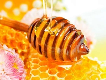Fapte despre miere, de ce mierea este utilă