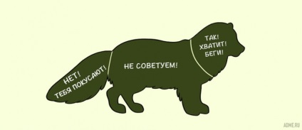 Útmutató a kedvtelésből tartott állatok