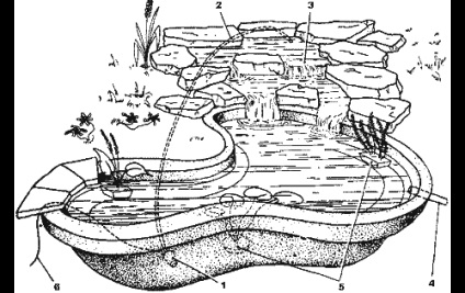Egy mesterséges tóban dacha népszerű lehetőségeket (fotó)