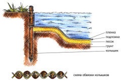 Egy mesterséges tóban dacha népszerű lehetőségeket (fotó)