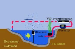 Egy mesterséges tóban dacha népszerű lehetőségeket (fotó)