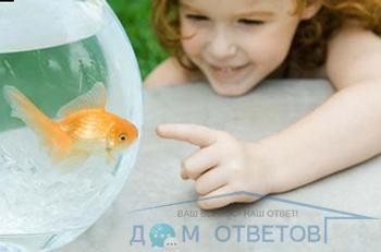 Színének módosítása akváriumi halak - válaszokat és tanácsokat a kérdéseire