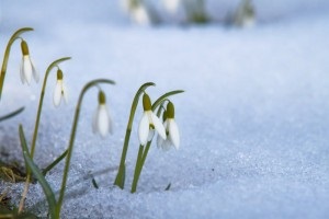 Cât de repede să măriți, blog-ul Ruslan Rakhimov