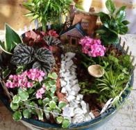 Cum se face o grădină de cameră, o enciclopedie a plantelor de interior