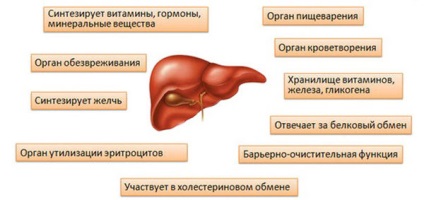 Cum să cureți ficatul cu remedii folclorice