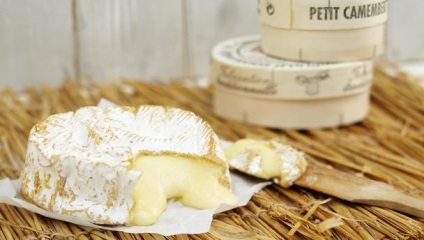 Cum de a alege vinul potrivit pentru brânză, rusă vs franceză