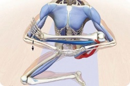 Cum să întindeți mușchii adductori ai coapsei pentru padmasana (postura de lotus)
