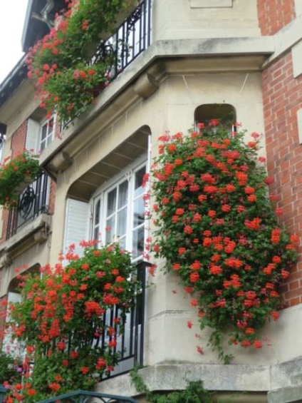 Cum să faci un balcon francez fals, cost și fotografie