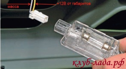 Cum se face iluminarea trunchiului viburnum independent de dimensiuni