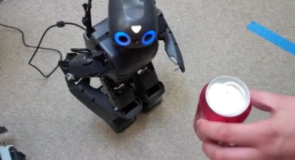 Cum sa faci un robot singur, modele robot interesante si neobisnuite