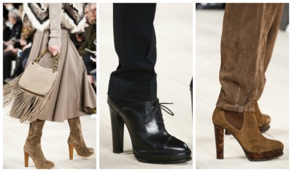 Ce pantofi să poarte în toamna anului 2015, pantofi de modă