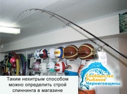 Cum de a alege o filare pentru pescuit prădător - comunitatea de pescari din Chernigov - totul despre pescuit