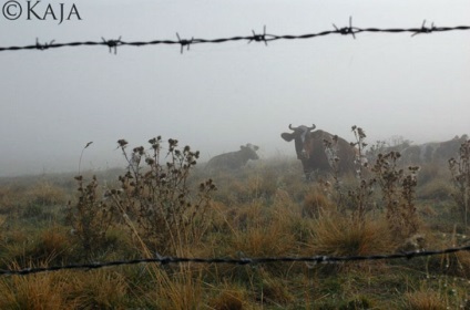 Pe măsură ce lumea vede un fotograf cu sindromul Down - InfoMania