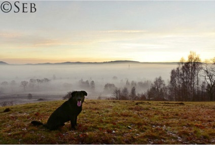 Pe măsură ce lumea vede un fotograf cu sindromul Down - InfoMania