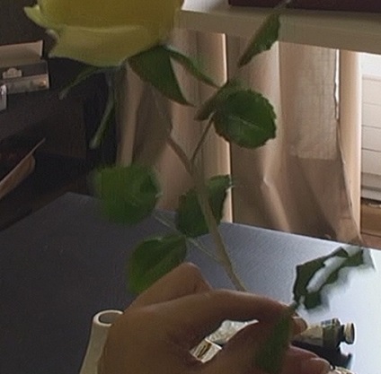 Florarie ceramică de trandafiri cu mâinile lor din polimer din argilă partea 3