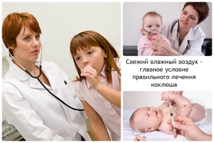 Pertussis - simptome, diagnostic și tratament video