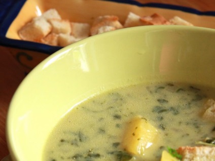 Supa de pui cu crotoni - o reteta delicioasa cu o fotografie