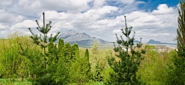 Allergia kezelés Kislovodsk szanatóriumi Kavminvod (szanatórium) Allergia kezelés Kislovodsk szanatóriumi Kavminvod