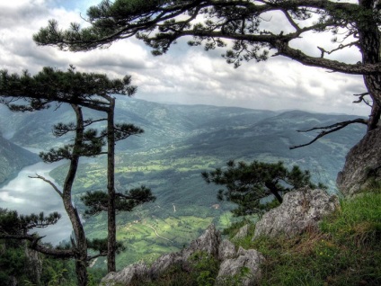 Tratamentul în Serbia