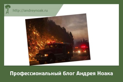 Incendiile forestiere sunt neglijență sau accident