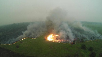 Incendiile forestiere sunt cauzele, tipurile și consecințele