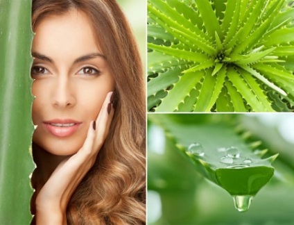 Masca pentru par cu aloe ca sa faca acasa sa se uite dupa cosmetice cu suc de aloe vera,