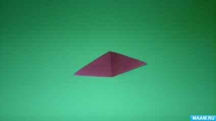 Master class în tehnica de origami 