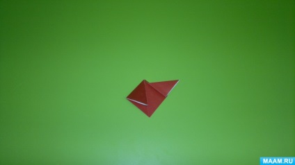 Master class în tehnica de origami 