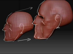 Modelarea capului uman în zbrush 3 - zbrush 3 - zbrush 3 - catalogul de lecții - zbrush - lecții,