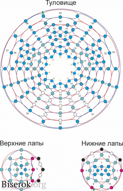 морський дракончик