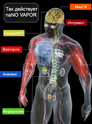 Nano пари хардкор про серия MUSCLETECH купуват Киев, Украйна - Отзиви и Цена