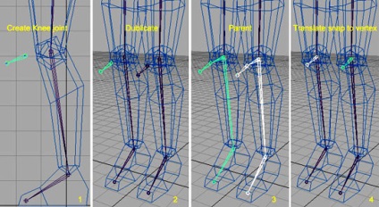 Personalizați modelul scheletului uman în Maya