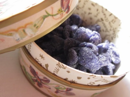 Ninelly delicacy pentru printese - violete confiate