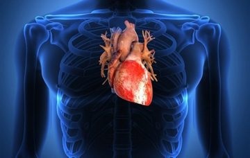 Complicații după angină la copii și adulți pe inimă, articulații, rinichi