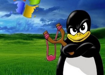 Principalele argumente pro și contra linux