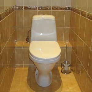 Decoratiuni de toaleta kafeleminstruktsiya pentru placi de așezare, cu propriile mâini, caracteristici de reparații,