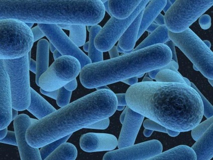 Rolul negativ și pozitiv al bacteriilor