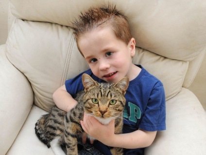 O pisică curajoasă la salvat pe băiat de la huligani