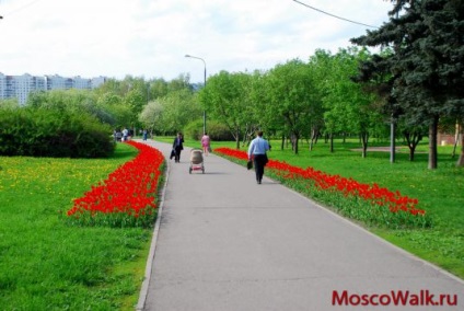 Parcul numit după aniversarea a 50 de ani din octombrie - plimbări la Moscova, parcuri