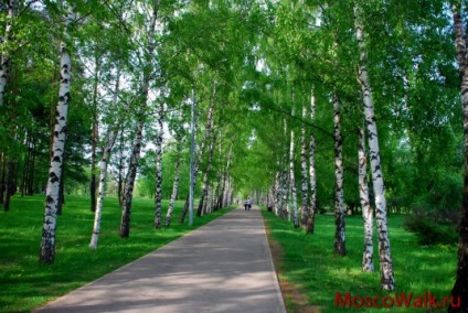 Parcul numit după aniversarea a 50 de ani din octombrie - plimbări la Moscova, parcuri