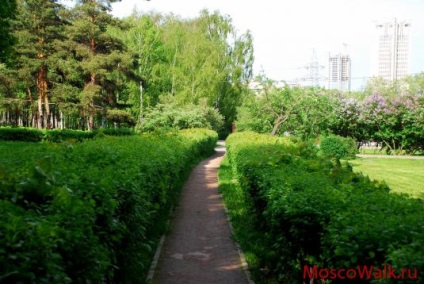 Parcul numit după aniversarea a 50 de ani din octombrie - plimbări la Moscova, parcuri